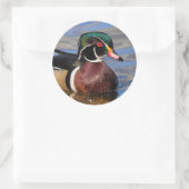 Sticker Rond Profil d'un beau canard à bois sur l'eau (Sac)