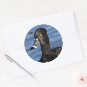 Sticker Rond Profil éclairé d'un canard à anneaux (Enveloppe)