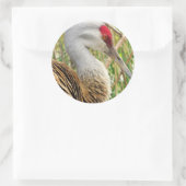 Sticker Rond Profil élégant d'une grande grue de Sandhill (Sac)