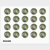 Sticker Rond Profil Zebra (Feuille)