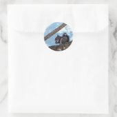 Sticker Rond Profiter d'une noix (Sac)
