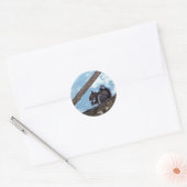 Sticker Rond Profiter d'une noix (Enveloppe)