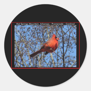 Sticker Rond Promenade de Hot Springs Mountain Cardinal Gifts