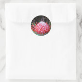 Sticker Rond Protea (Sac)