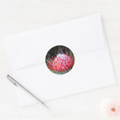Sticker Rond Protea (Enveloppe)