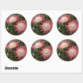 Sticker Rond Protéa géant (Protea Cynaroides), Helderberg (Feuille)