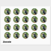 Sticker Rond Puffin (Feuille)