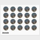 Sticker Rond Puffin (Feuille)