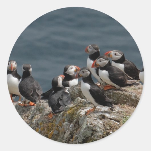 Sticker Rond Puffin (Devant)