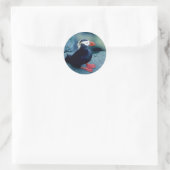 Sticker Rond Puffin bébé (Sac)