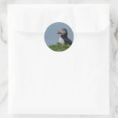 Sticker Rond Puffin de profil (Sac)