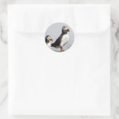 Sticker Rond Puffins (Sac)