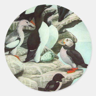 Sticker Rond Puffins vintages et oiseaux aquatiques de Louis Fu
