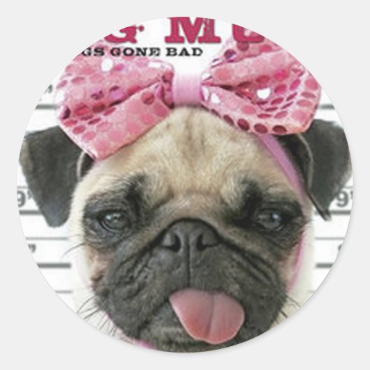 Sticker Rond Pug (Devant)