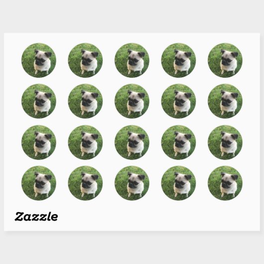 Sticker Rond Pug Pup (Feuille)