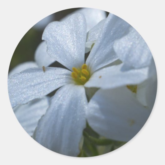 Sticker Rond Puissance de flux (Devant)