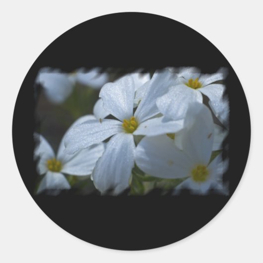 Sticker Rond Puissance de flux (Devant)