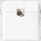 Sticker Rond Puli Turquie (Sac)