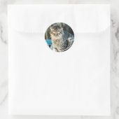 Sticker Rond Punk Rock Feral Tom Chat (Sac)