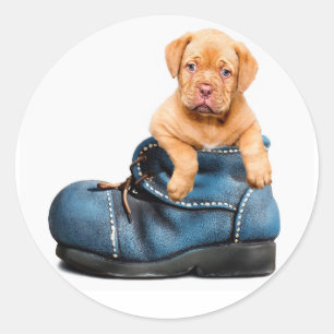 Sticker Rond Pup 'n Boots