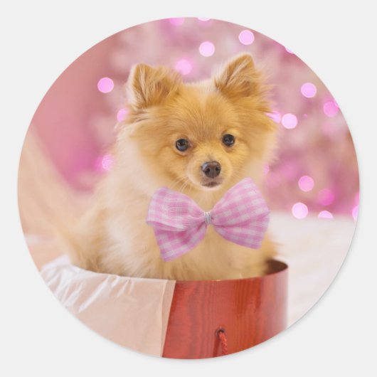 Sticker Rond Puppy de Christmas (Devant)