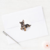 Sticker Rond puppy German shepherd (Enveloppe)