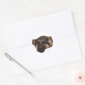 Sticker Rond puppy German shepherd (Enveloppe)