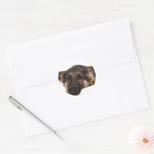 Sticker Rond puppy German shepherd (Enveloppe)