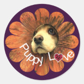 Sticker Rond Puppy Love Peeking d'une fleur (Devant)