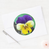 Sticker Rond Purple et Yellow Pany (Enveloppe)