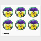 Sticker Rond Purple et Yellow Pany (Feuille)