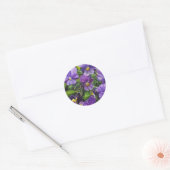 Sticker Rond "Purple Pansies" par Jenny Koch (Enveloppe)