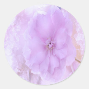 Sticker Rond Purple Pansy