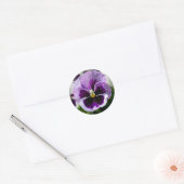Sticker Rond Purple Pansy Close Up (Enveloppe)