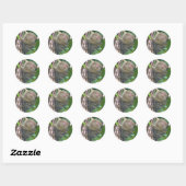 Sticker Rond Pygmy Marmoset (Feuille)