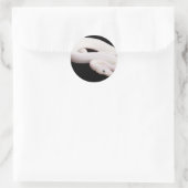 Sticker Rond Python à balle leucistique (Sac)