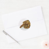 Sticker Rond Python jaune et noir de boule (Enveloppe)