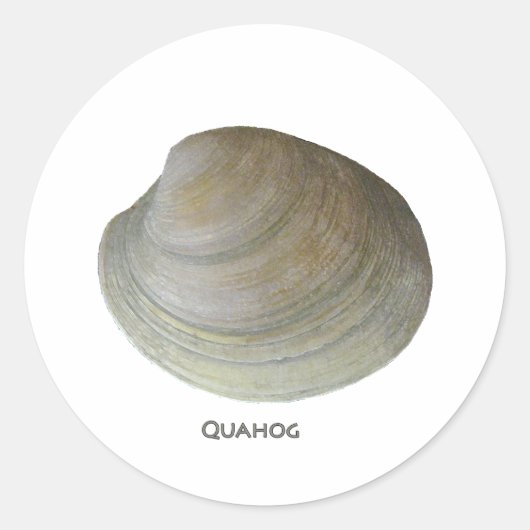 Sticker Rond Quahog Clam (Devant)