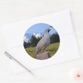 STICKER ROND QUAIL ON DREAM POINT (Enveloppe)