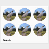 STICKER ROND QUAIL ON DREAM POINT (Feuille)