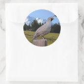 STICKER ROND QUAIL ON DREAM POINT (Sac)