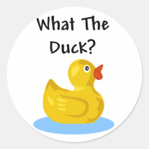 Sticker Rond Quel Canard ?