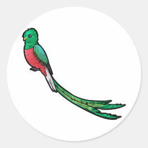 Sticker Rond Quetzal