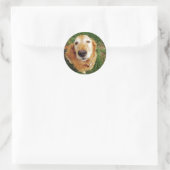 Sticker Rond Qui est un bon garçon ? (Sac)