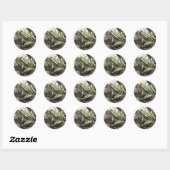 Sticker Rond R3 Grenouille léopard (Feuille)