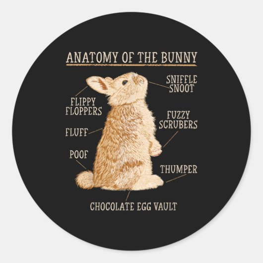 Sticker Rond Rabbit Anatomy Bunny Lover Animal Pet Owner  (Devant)