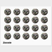 Sticker Rond Raccoon - Les Trois Amigos (Feuille)
