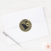 Sticker Rond Raccoon ~ Visage d'un ange (Enveloppe)