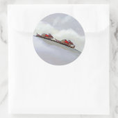 Sticker Rond Racing rats ski descente plaisir art rat unique (Sac)