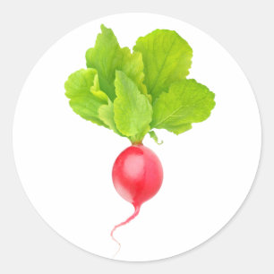 Sticker Rond radis rouge